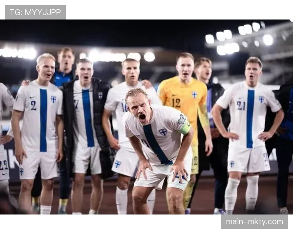 芬兰0-1不敌马耳他 提前无缘世界杯正赛